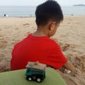 手可摘星陈